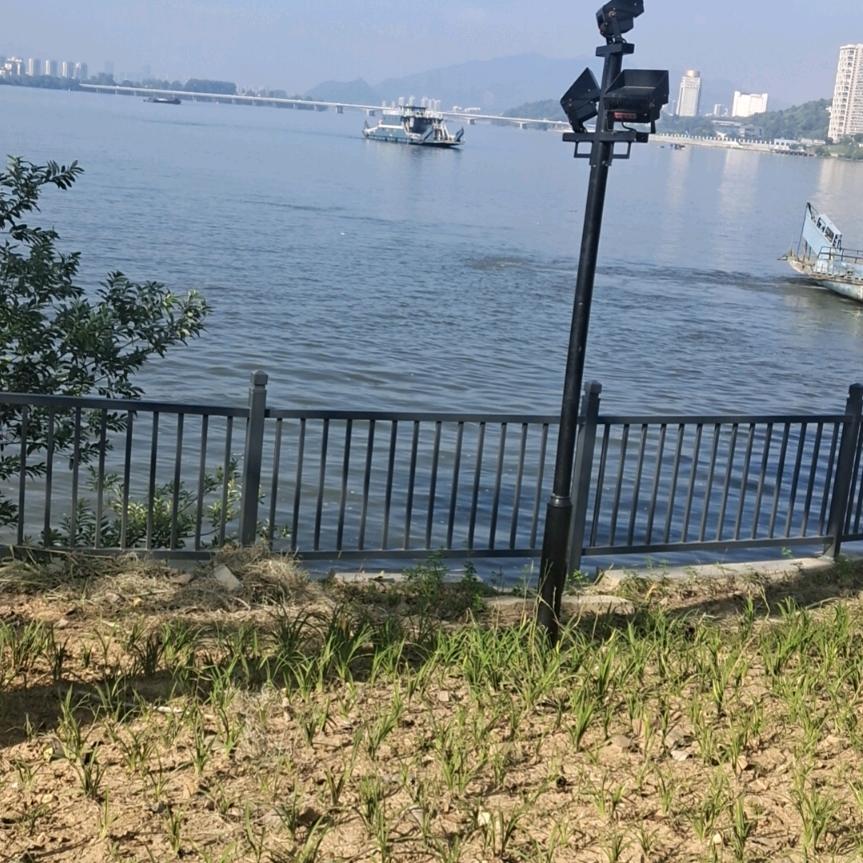 愛上钓鱼
