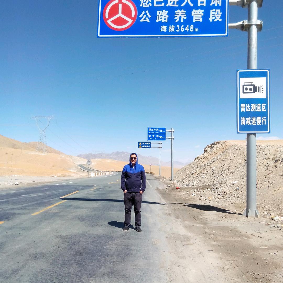 遗弃的树叶