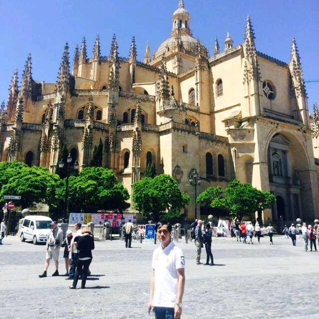 王胜俊（维玫诗）