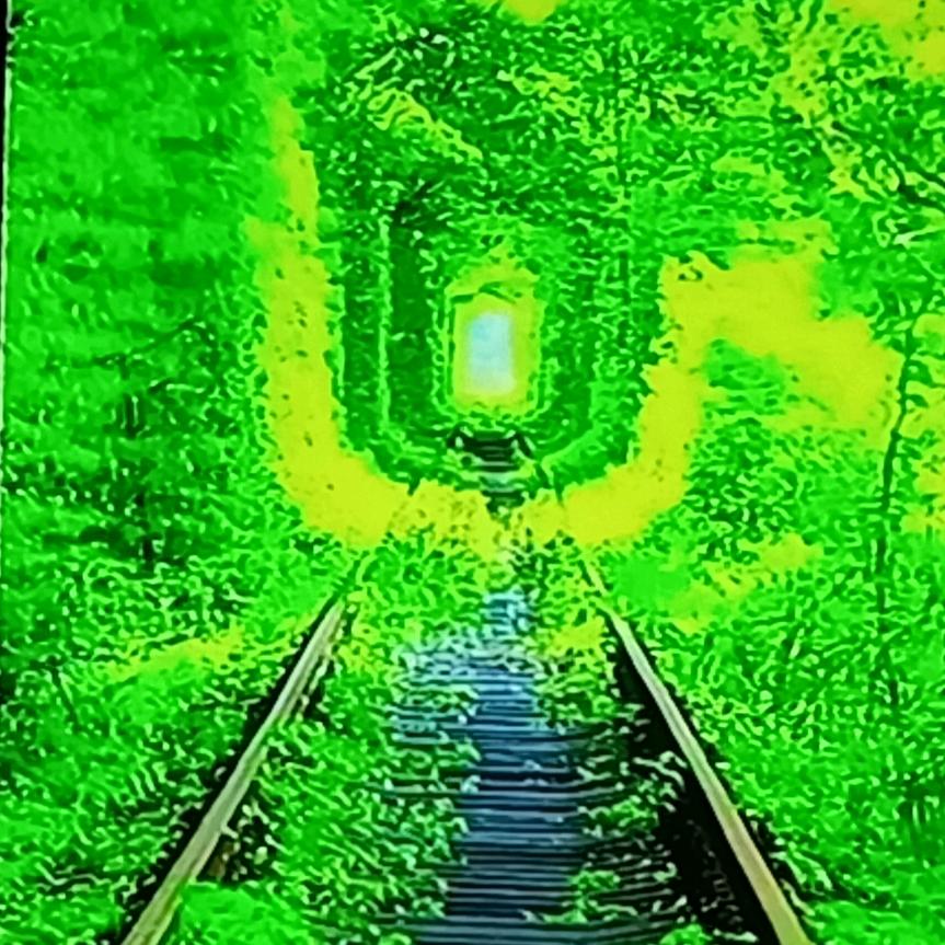 @鸿哥