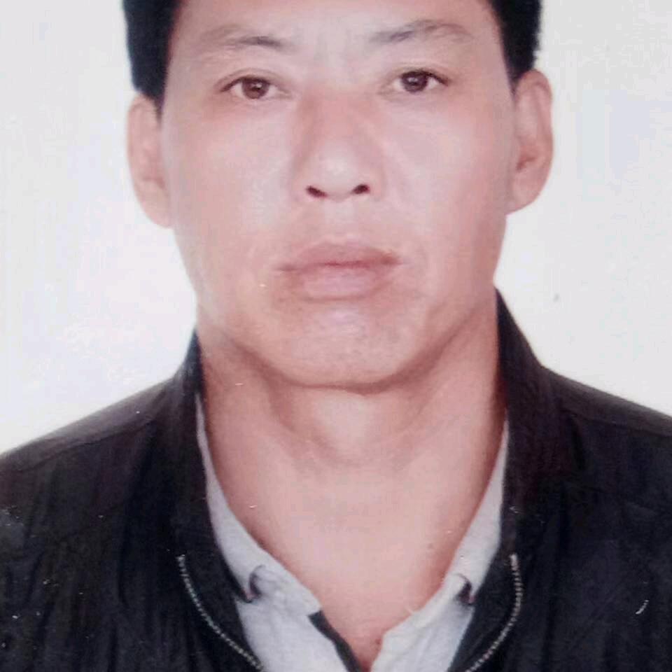 龙哥