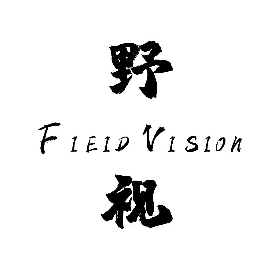 野视印象