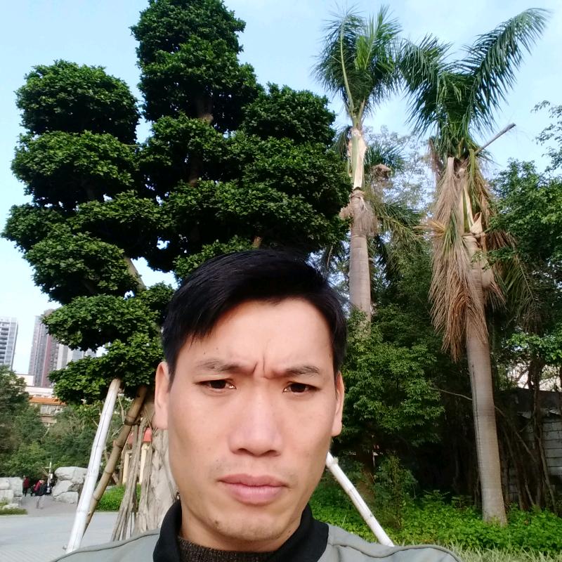 梦专业室内室外装修