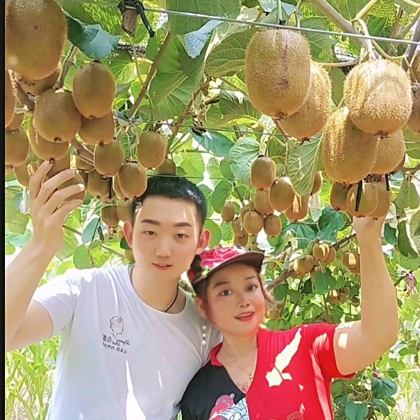 眉县兵妈妈猕猴桃🥝
