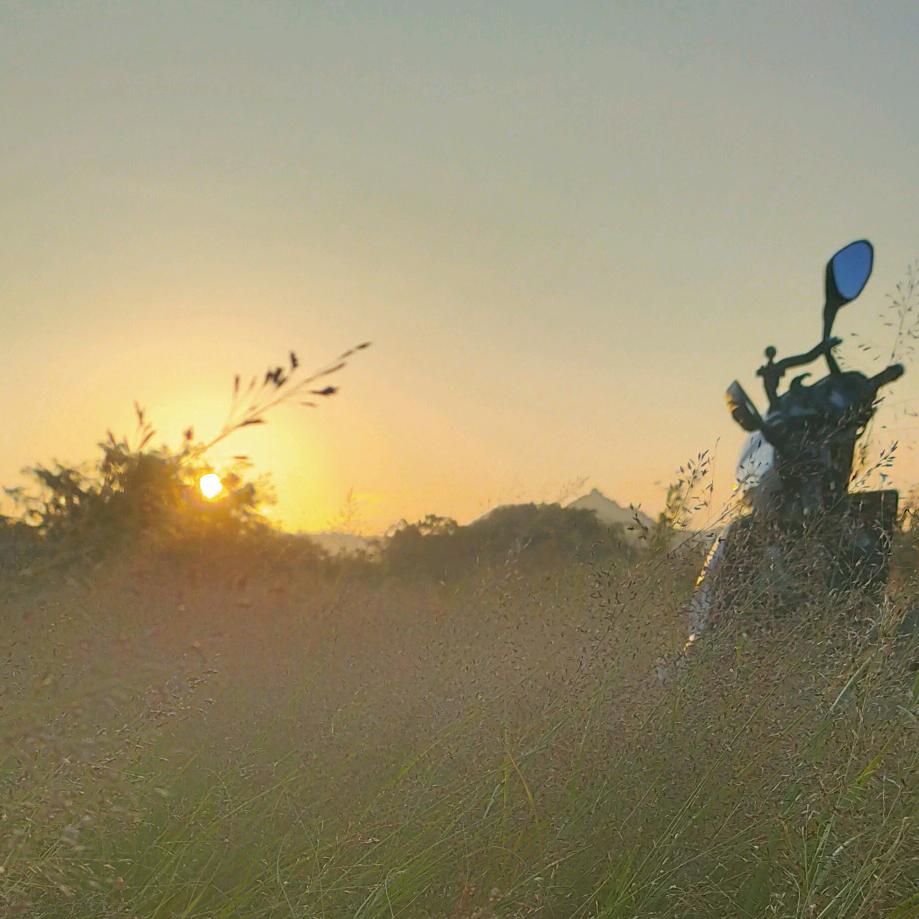 🌈哥🐰🐐🐰🐍🐰🐲
