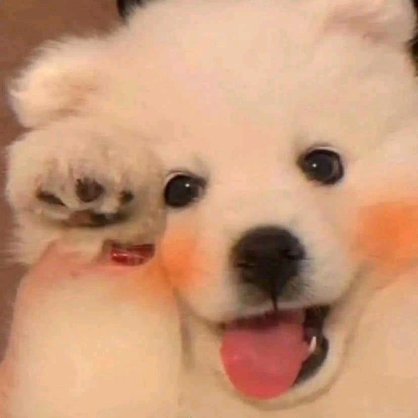 HJhhhhhhh