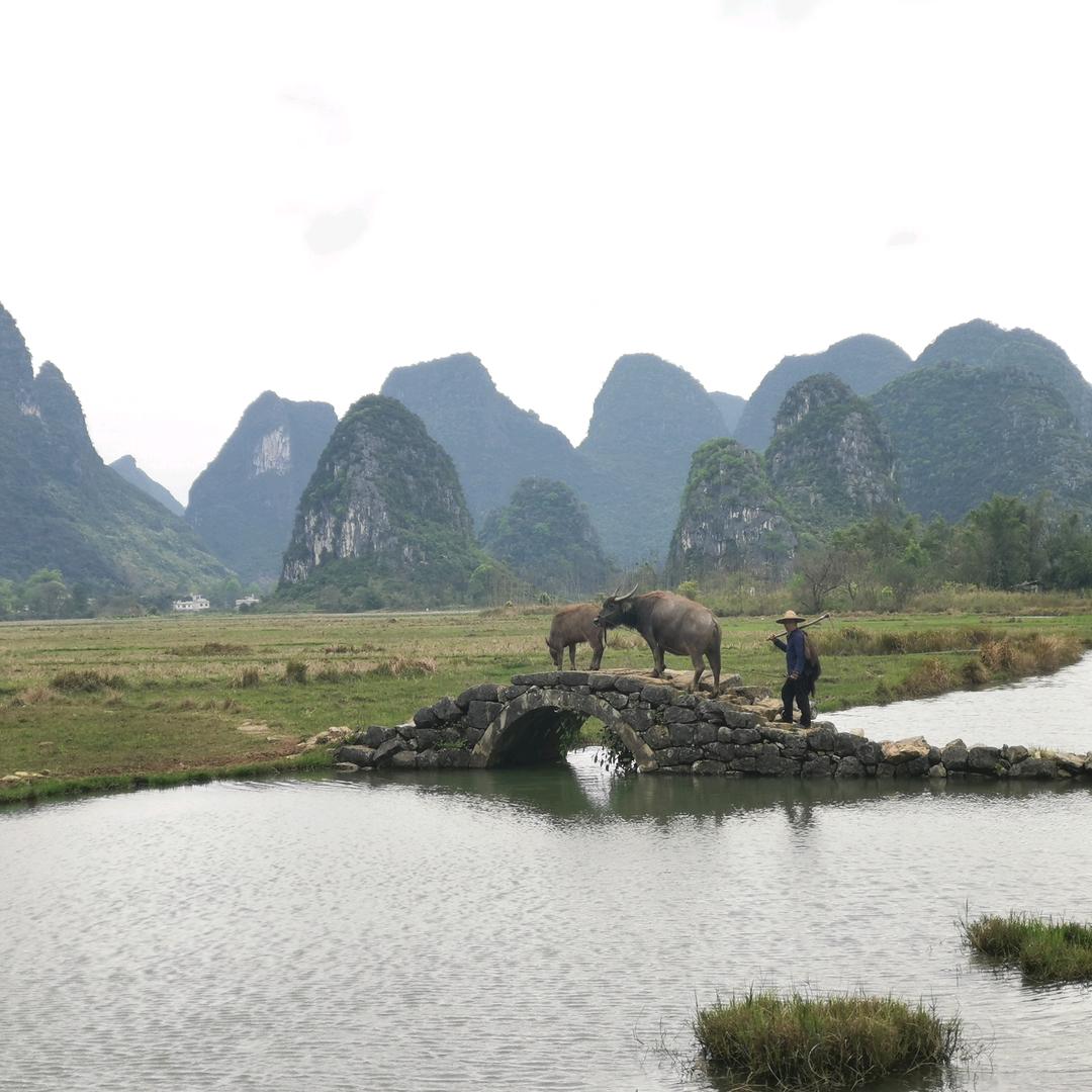 头发短了不会乱