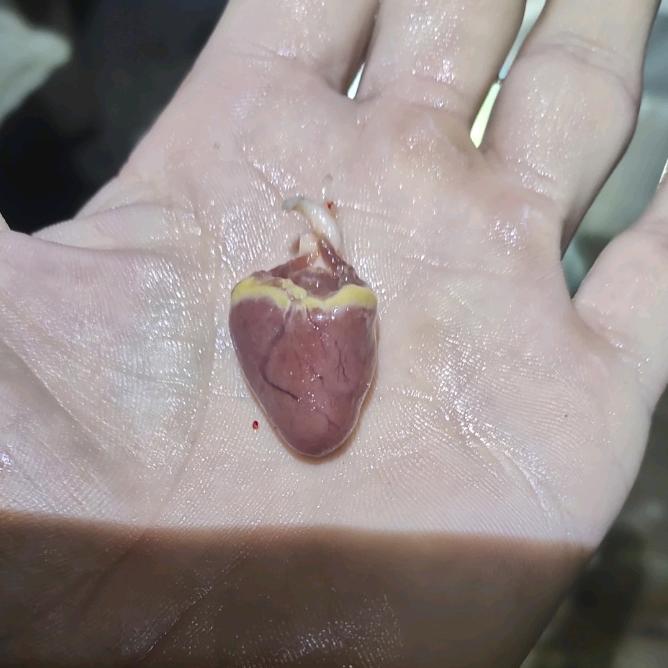 薄情总是女孩身