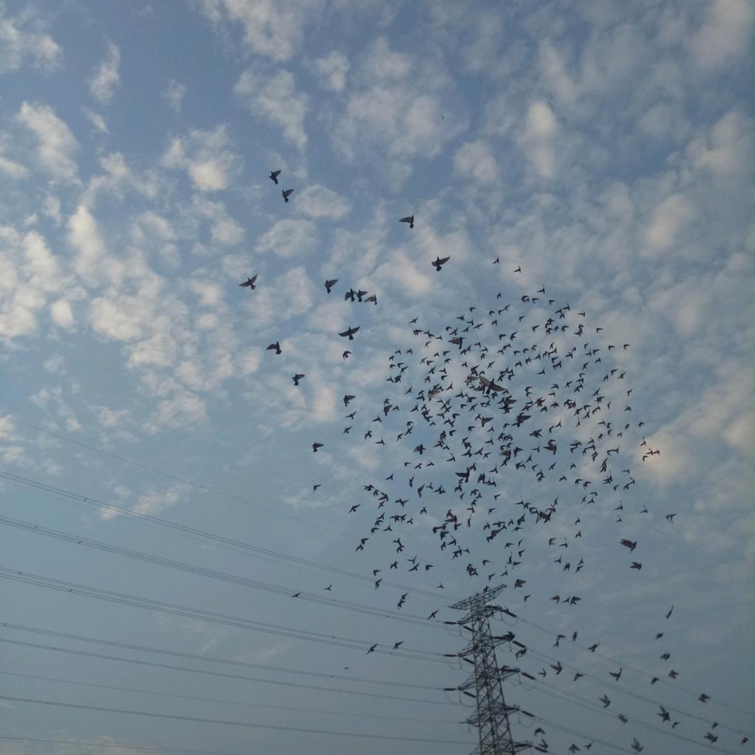 抖音车轮子