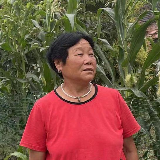 农村奶奶