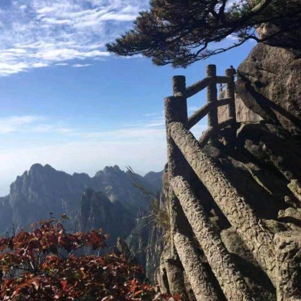 阿木
