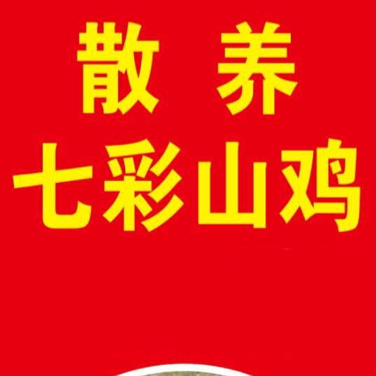 散养七彩山鸡