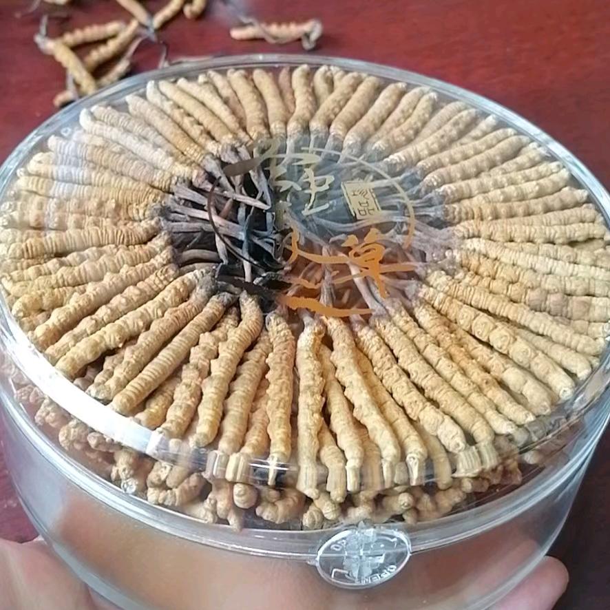 刘氏冬虫夏草专卖