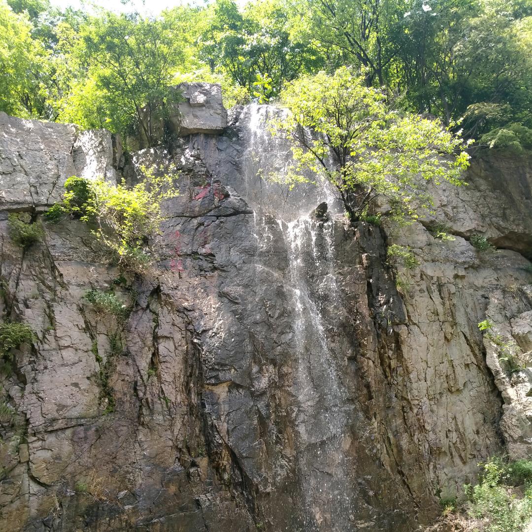 侯哥