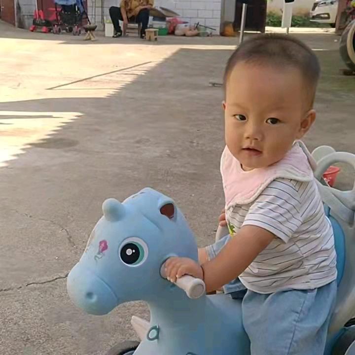 孤狼6217