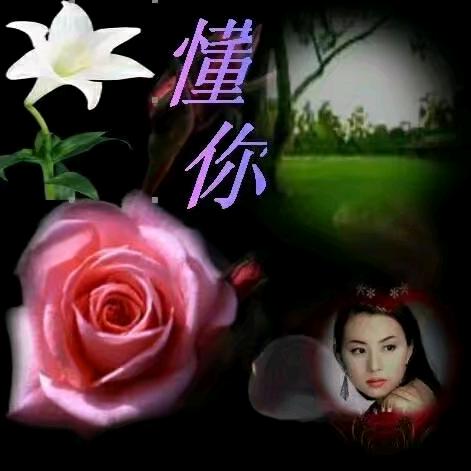 劉家🌷五姐💃🏻💃🏻