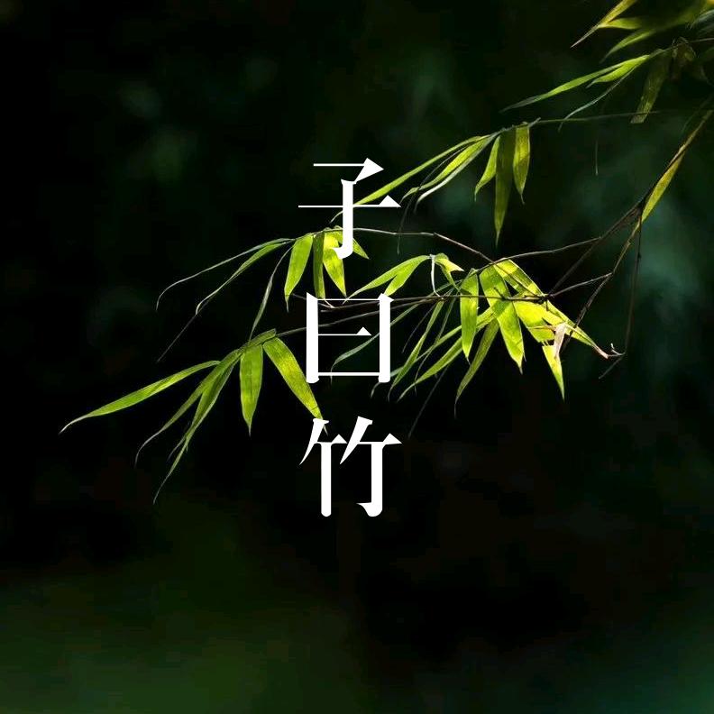 子曰竹茶器