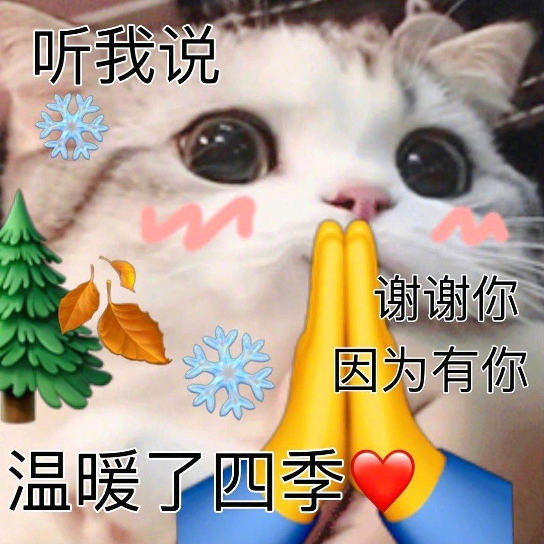 小九