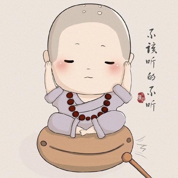 白衣豆