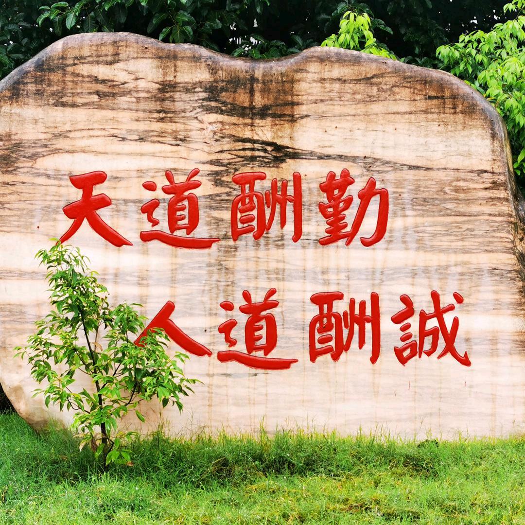 遇见嘉中