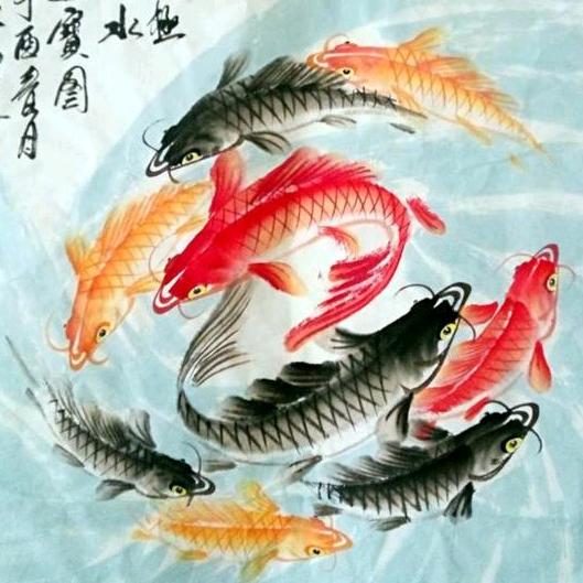 大美星星
