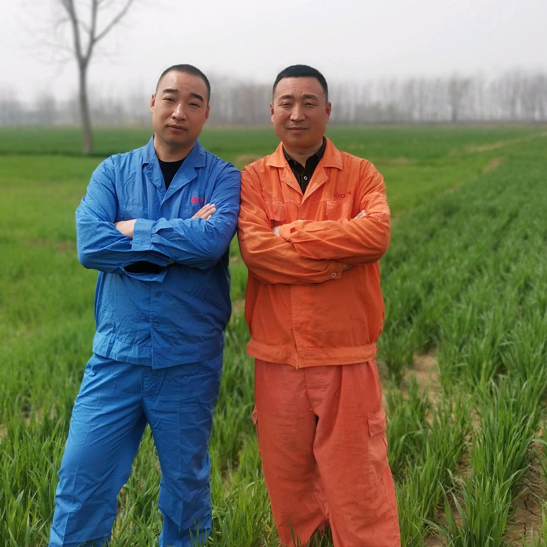 逗号兄弟
