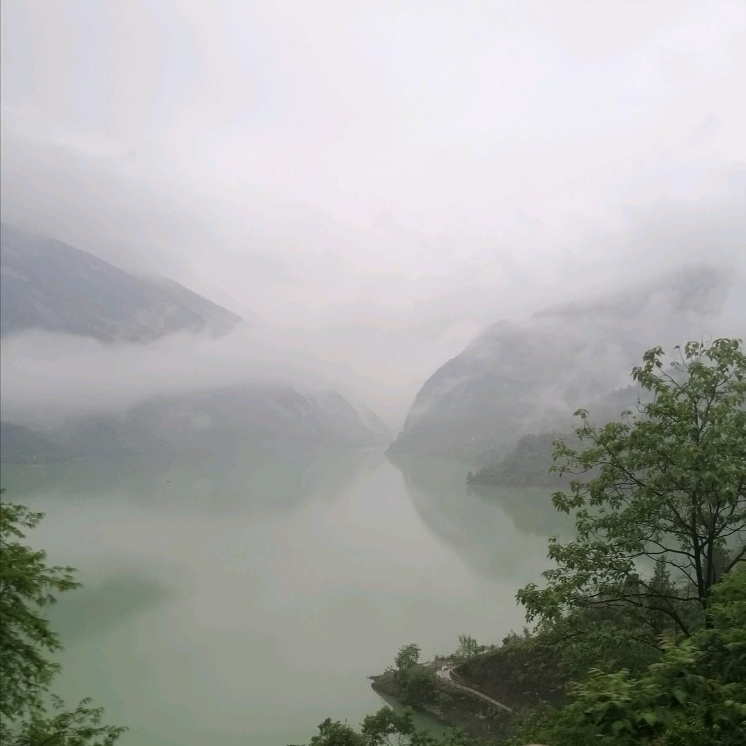 清枫竹