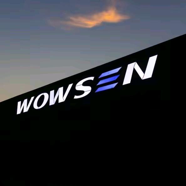 沃森威尔WOWSEN-中国官方