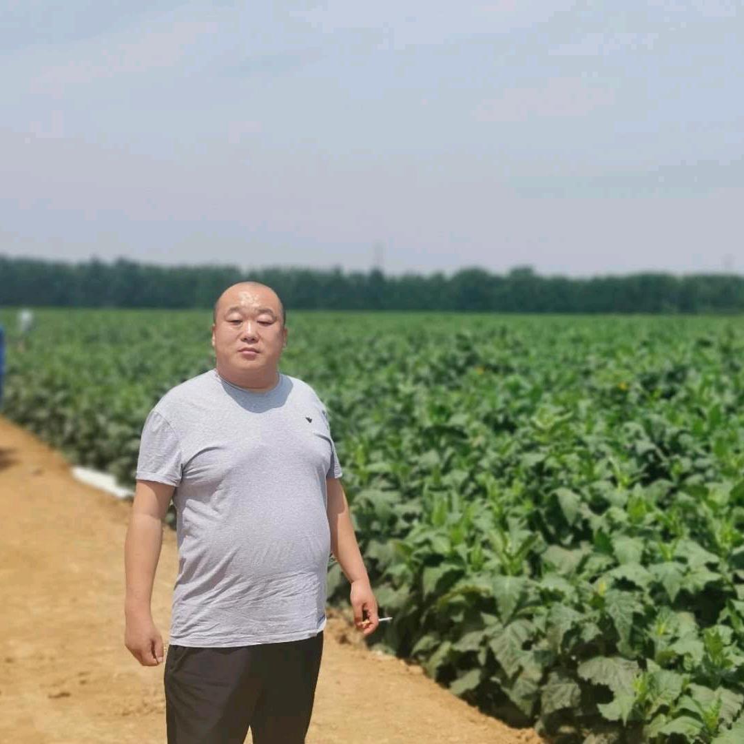 马到成功