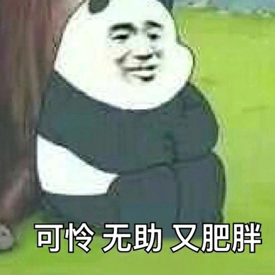 🌈周哥无敌不解释