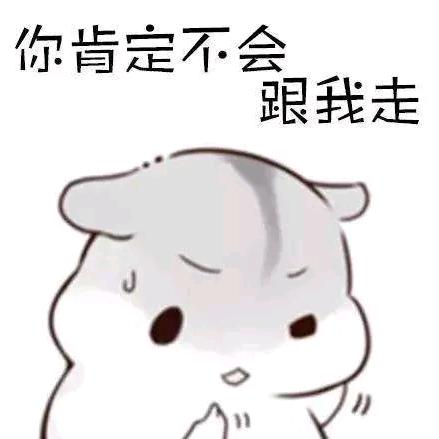 zql