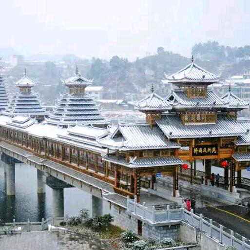 来不来