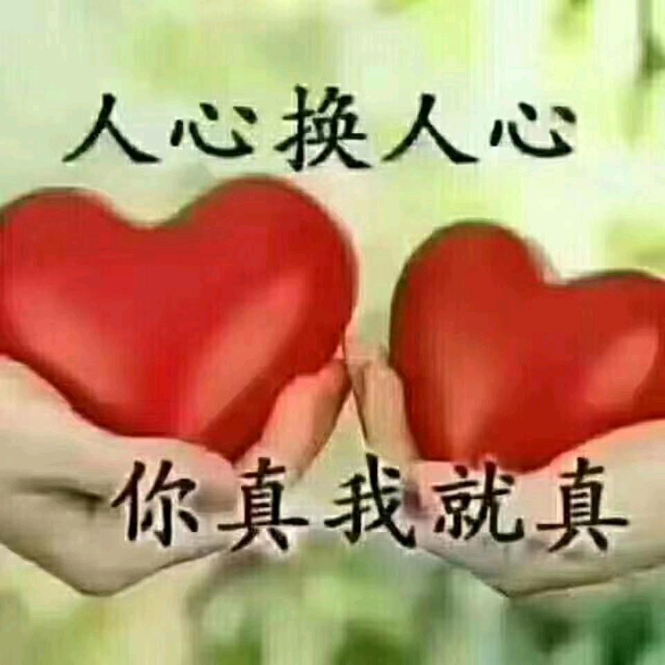 爱上一个人。
