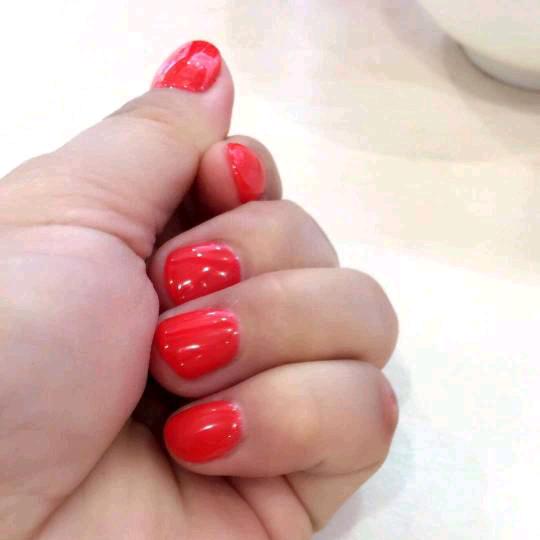 我的女孩