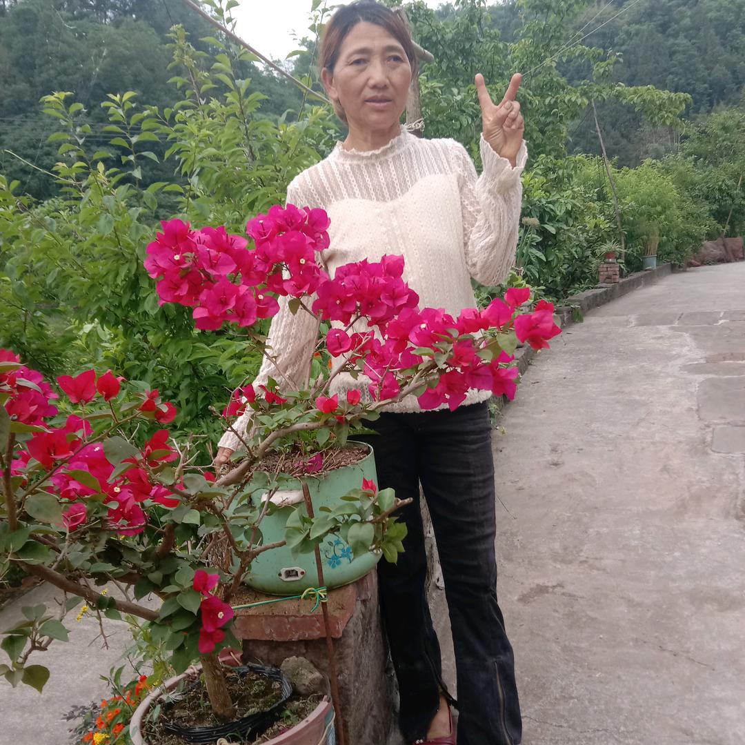小韦