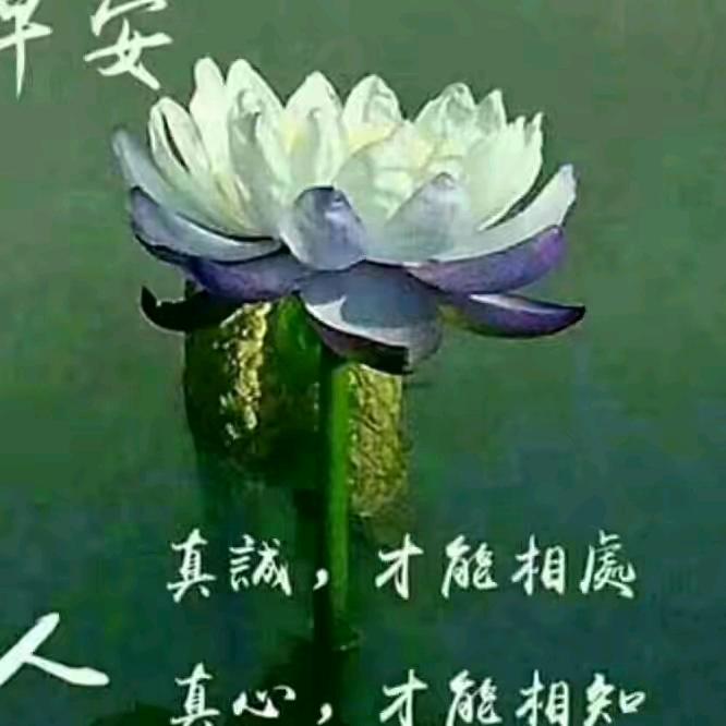 鲜花
