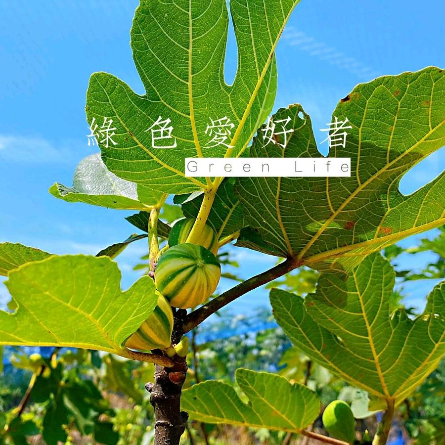 春暖花开时