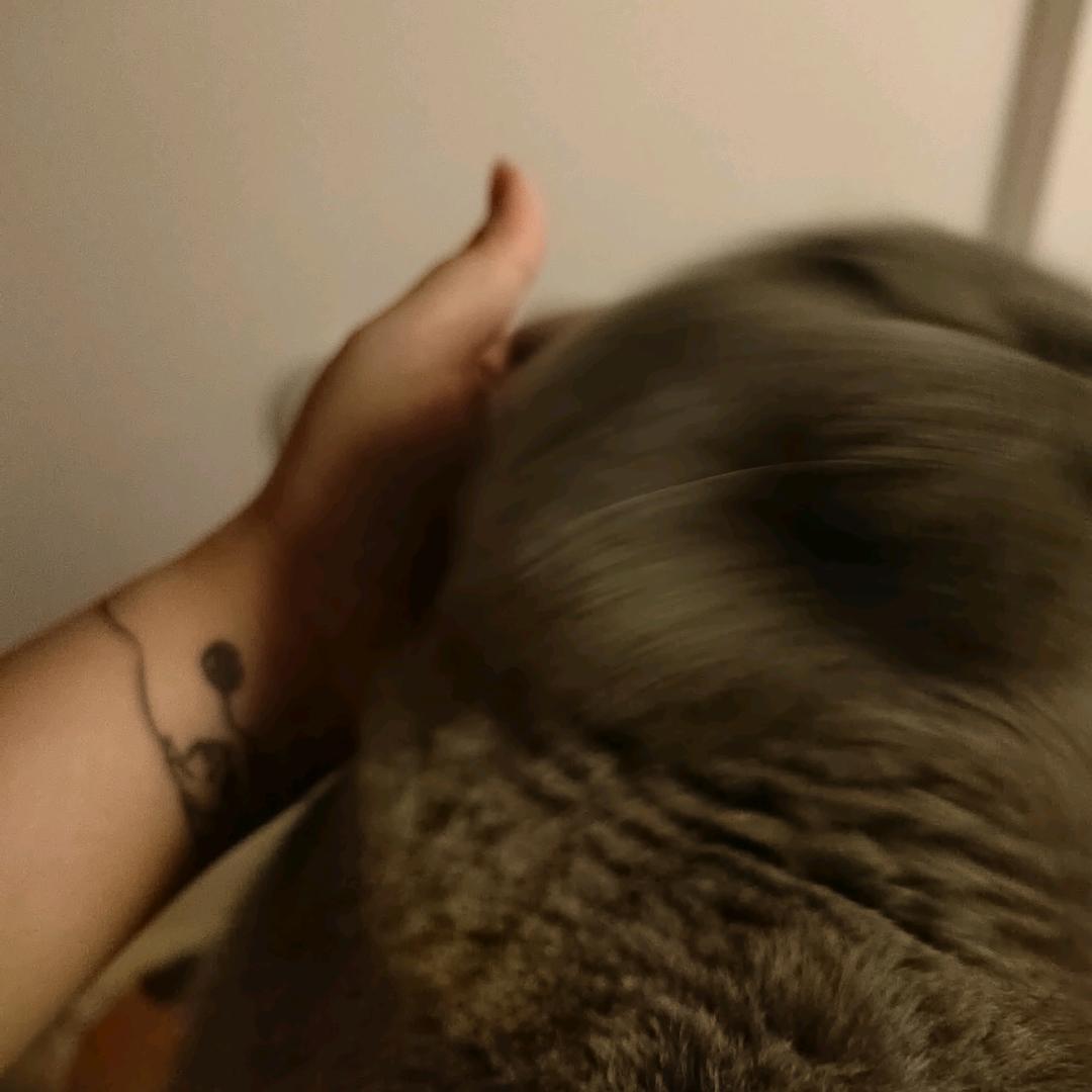 Morning早起不了一点