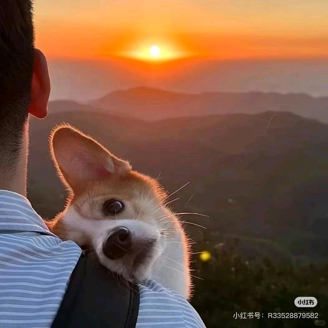 劫后余生一人走