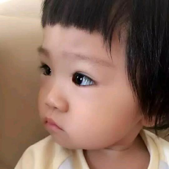 朵儿