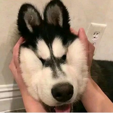 社会主义接班人