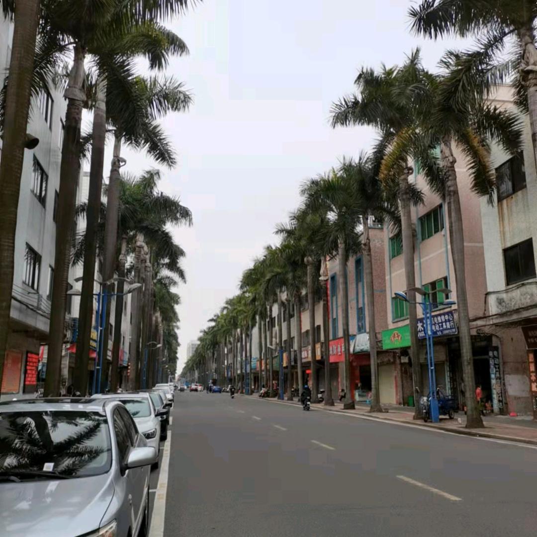 ღ梦醒后的记忆᭄ꦿ࿐