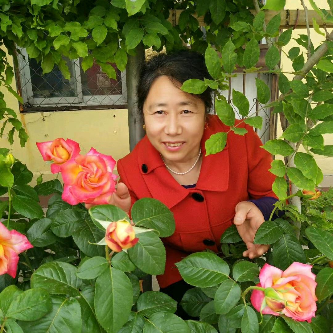 瑶瑶