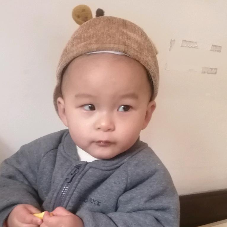 白头翁