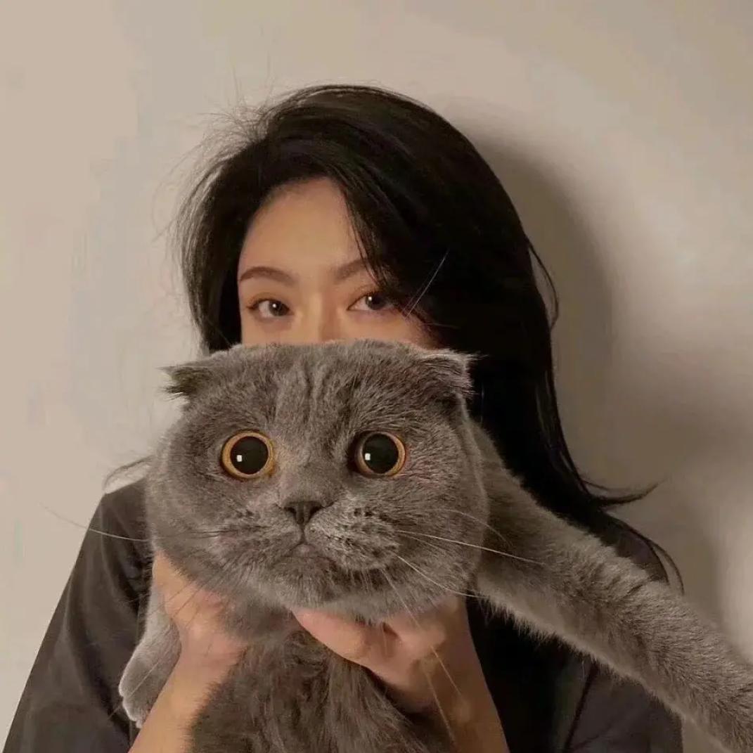 今晚又没回来