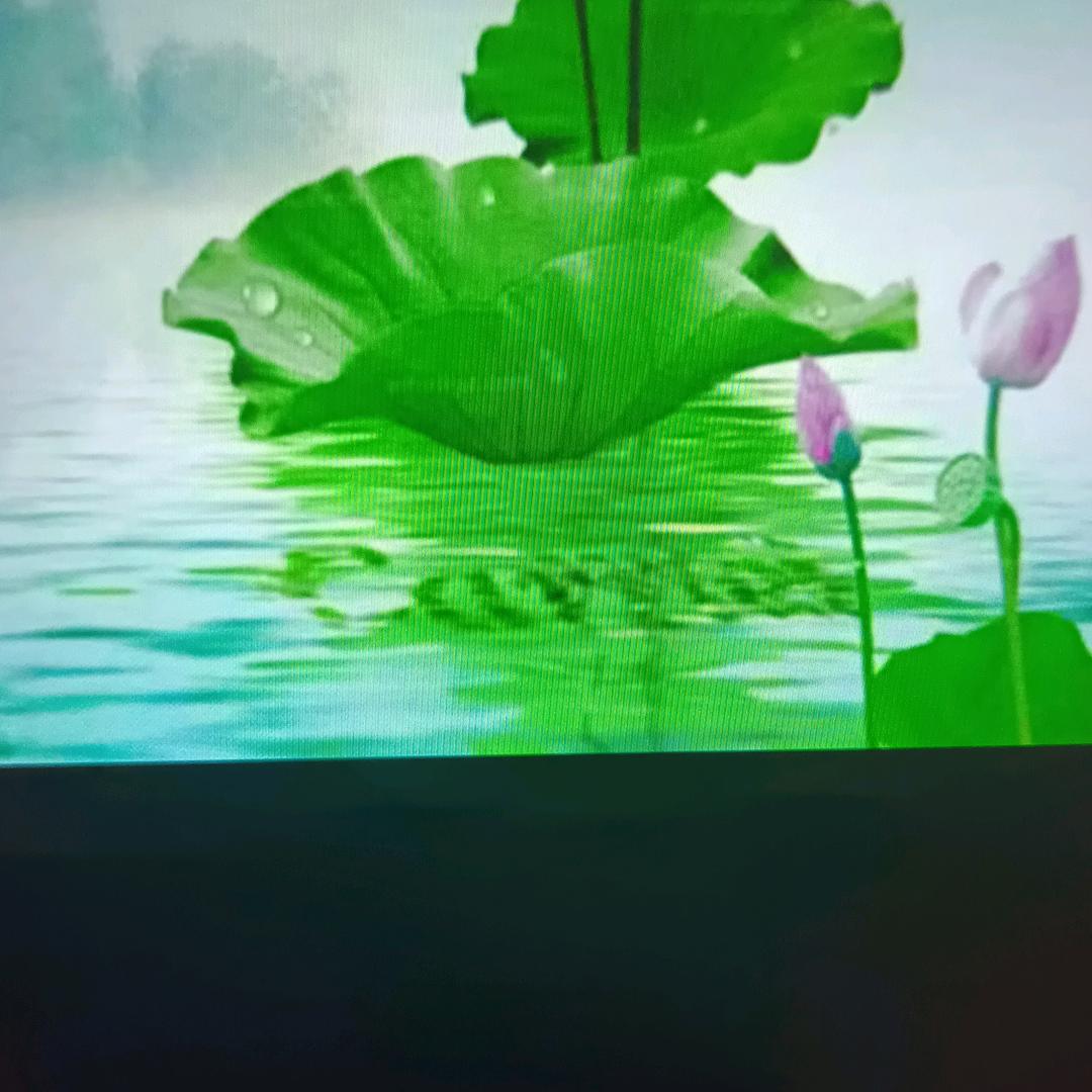 全生