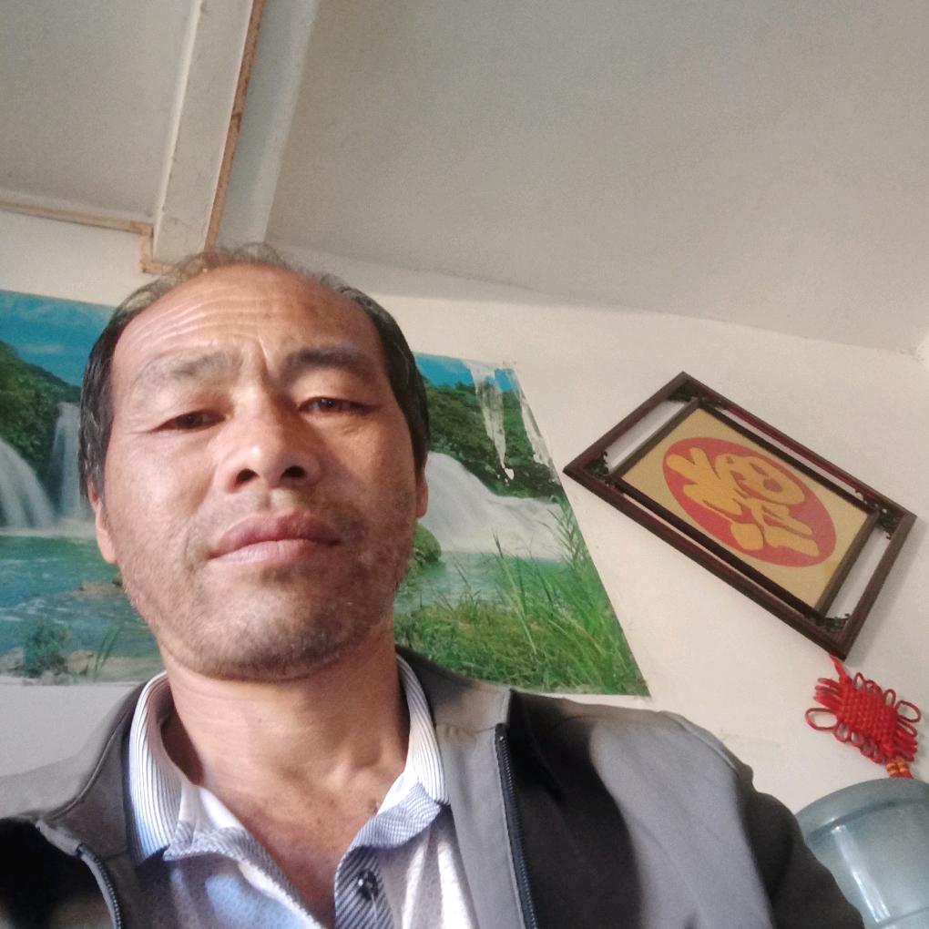 蒙自鑫合与津威汽贸二手车