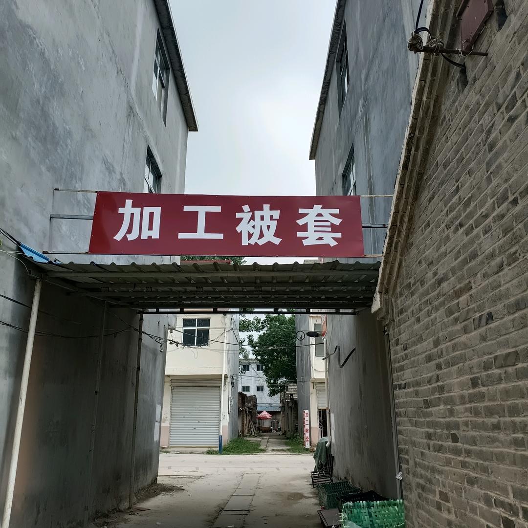庞振华