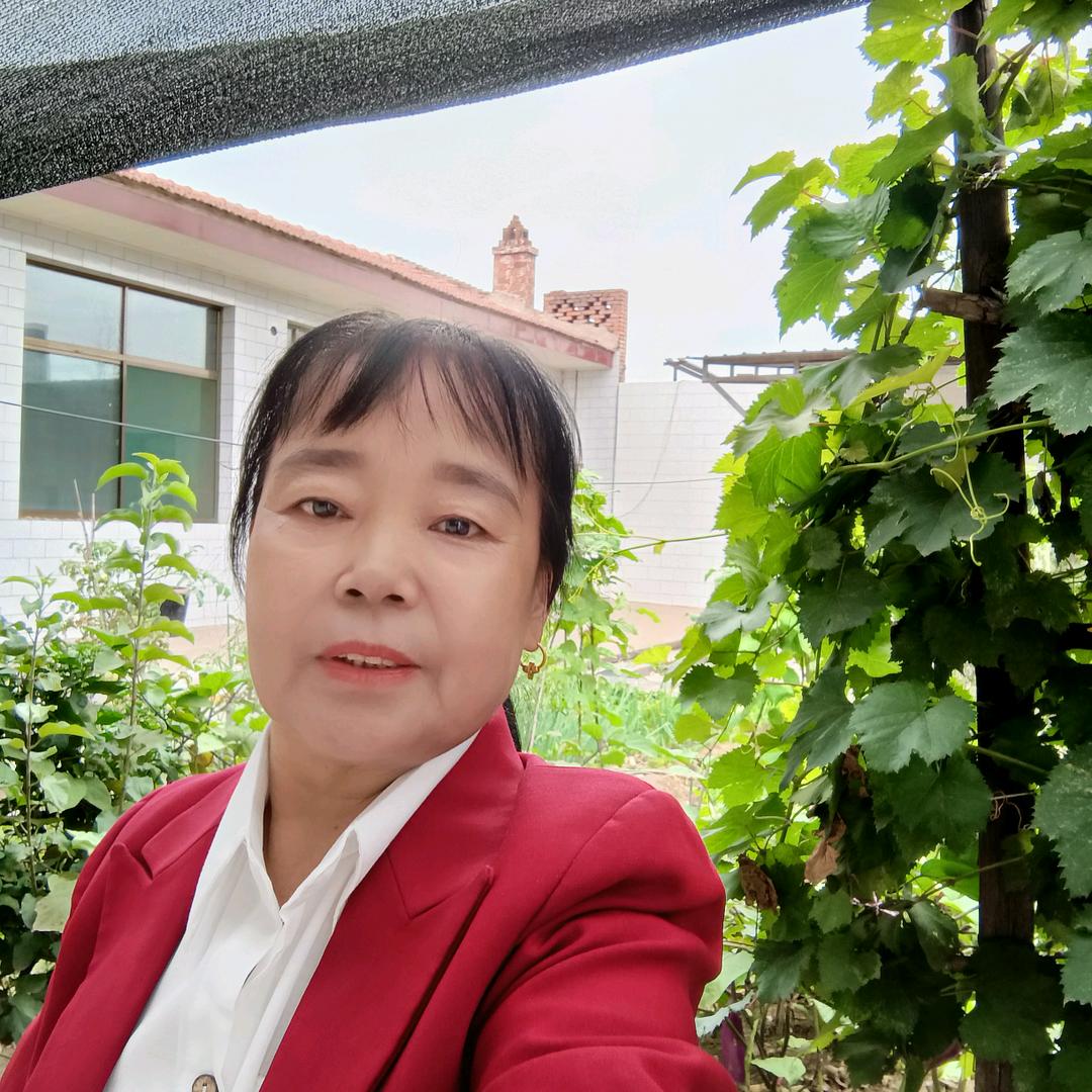 山西秋花(2)聚散家