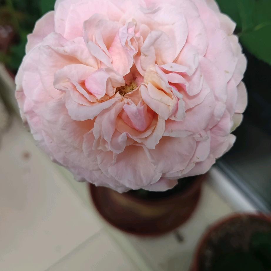 老玩童
